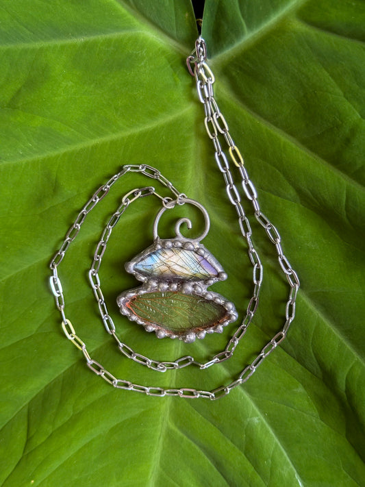 Cicada & Labradorite | Visions of Harmony