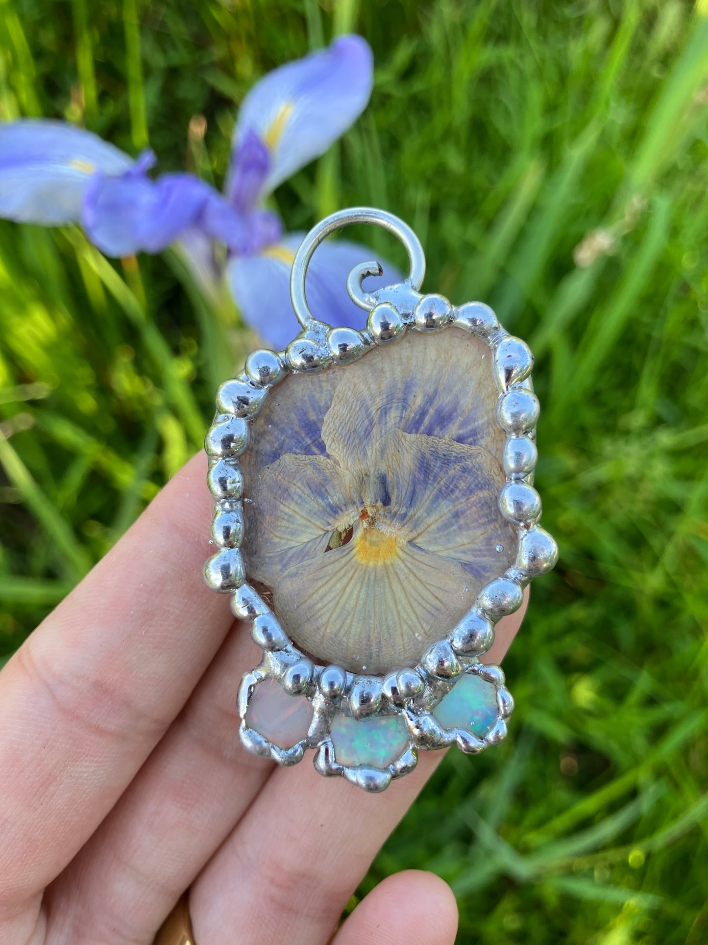 Pansy Warrior | Opal